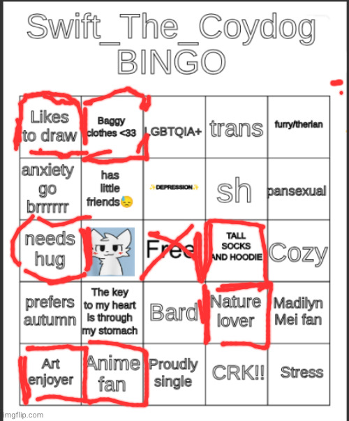 I'm single but I sure ain't proud | image tagged in swift_the_coydog bingo,bingo | made w/ Imgflip meme maker