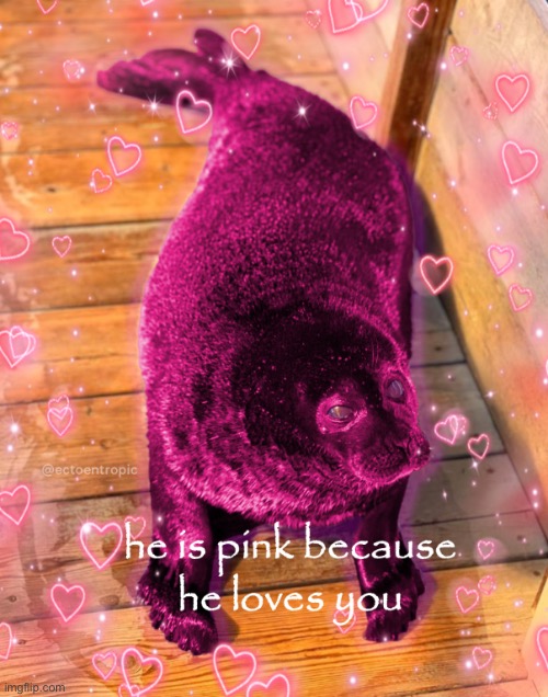 super long heartfelt message in comments uhh deletes my account | made w/ Imgflip meme maker
