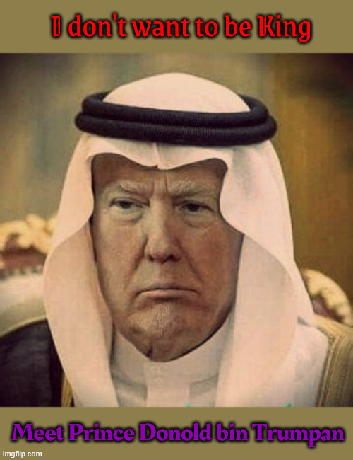 Prince DJT | I don't want to be King; Meet Prince Donold bin Trumpan | image tagged in prince djt,maga muslim,maga monarch,self deport muslim,theif of baghdad,prince bone spurs | made w/ Imgflip meme maker
