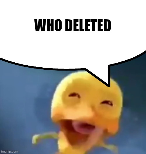 they unfollowed you | WHO DELETED | image tagged in crying duck | made w/ Imgflip meme maker