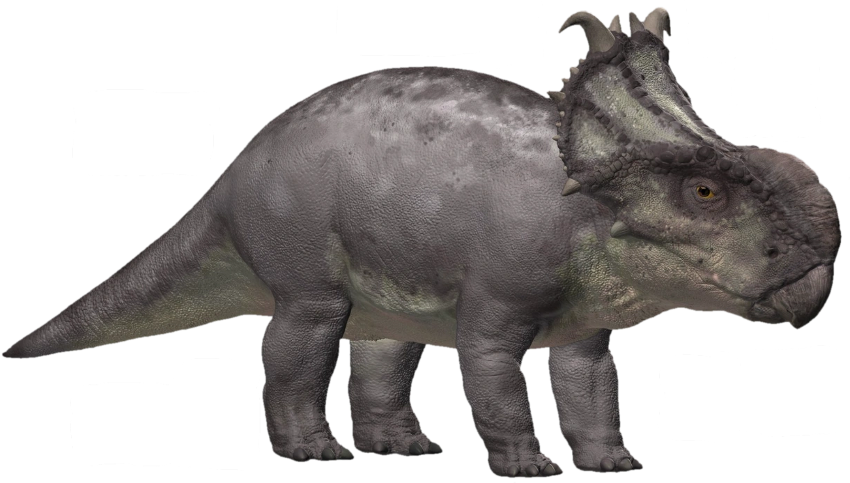 Pachyrhinosaurus (JWCT Design) Blank Meme Template