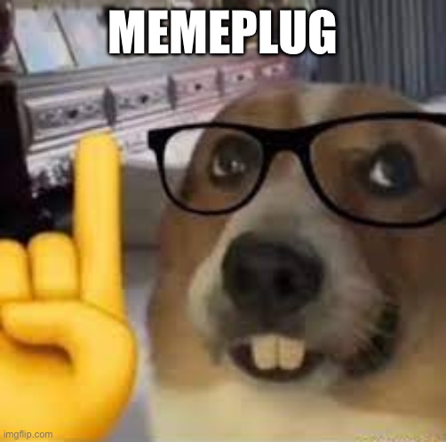 Yall im sorry I only post memeplugs here | MEMEPLUG | image tagged in nerd dog | made w/ Imgflip meme maker