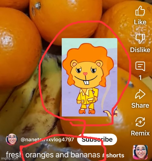 Oranges and bananas | image tagged in htf | made w/ Imgflip meme maker