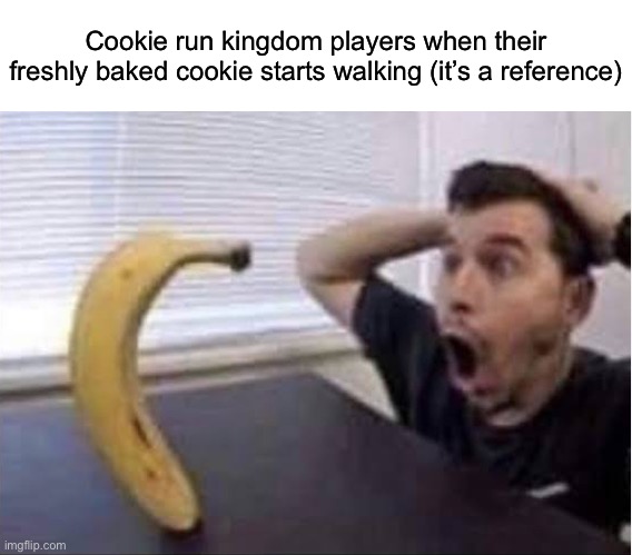 banana standing up | Cookie run kingdom players when their freshly baked cookie starts walking (it’s a reference) | image tagged in banana standing up,msmg | made w/ Imgflip meme maker