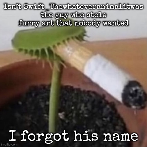 And he’s not precisely funny to me | Isn’t Swift_Thewhateveranimalitwas the guy who stole furry art that nobody wanted; I forgot his name | image tagged in plant weeds,msmg | made w/ Imgflip meme maker