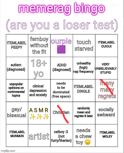 i am NOT a loser (: | image tagged in memerag loser bingo | made w/ Imgflip meme maker