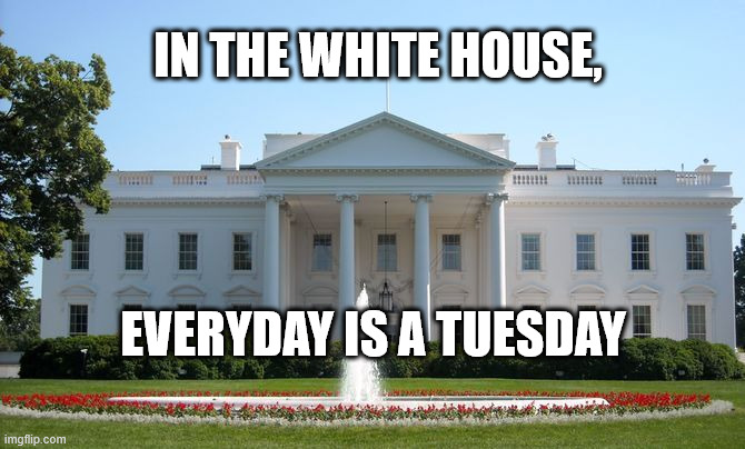 Taco Tuesday | IN THE WHITE HOUSE, EVERYDAY IS A TUESDAY | image tagged in white house | made w/ Imgflip meme maker