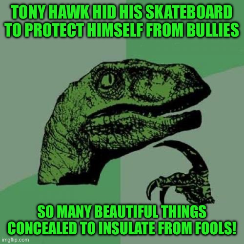 Philosoraptor | TONY HAWK HID HIS SKATEBOARD TO PROTECT HIMSELF FROM BULLIES; SO MANY BEAUTIFUL THINGS CONCEALED TO INSULATE FROM FOOLS! | image tagged in memes,philosoraptor | made w/ Imgflip meme maker
