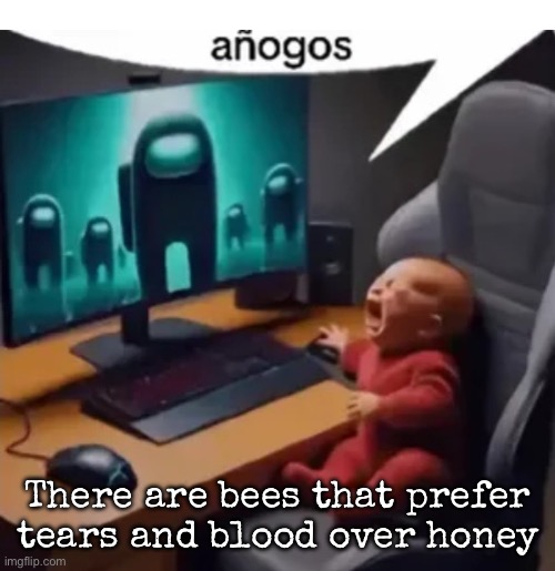 They’re called vulture bees | There are bees that prefer tears and blood over honey | image tagged in anogos,msmg | made w/ Imgflip meme maker
