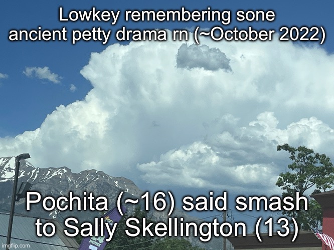 These are ages at the time, neither of them knew eachothers ages | Lowkey remembering sone ancient petty drama rn (~October 2022); Pochita (~16) said smash to Sally Skellington (13) | made w/ Imgflip meme maker
