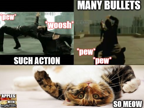 Matrix Cat | *pew*                      *pew* *pew* *woosh* | image tagged in matrix,cat,meme,funny,memes | made w/ Imgflip meme maker