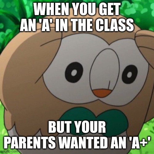 Rowlet Meme Template | WHEN YOU GET AN 'A' IN THE CLASS; BUT YOUR PARENTS WANTED AN 'A+' | image tagged in rowlet meme template | made w/ Imgflip meme maker