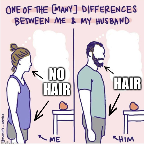 The Last Ripe Peach | NO HAIR; HAIR | image tagged in the last ripe peach | made w/ Imgflip meme maker