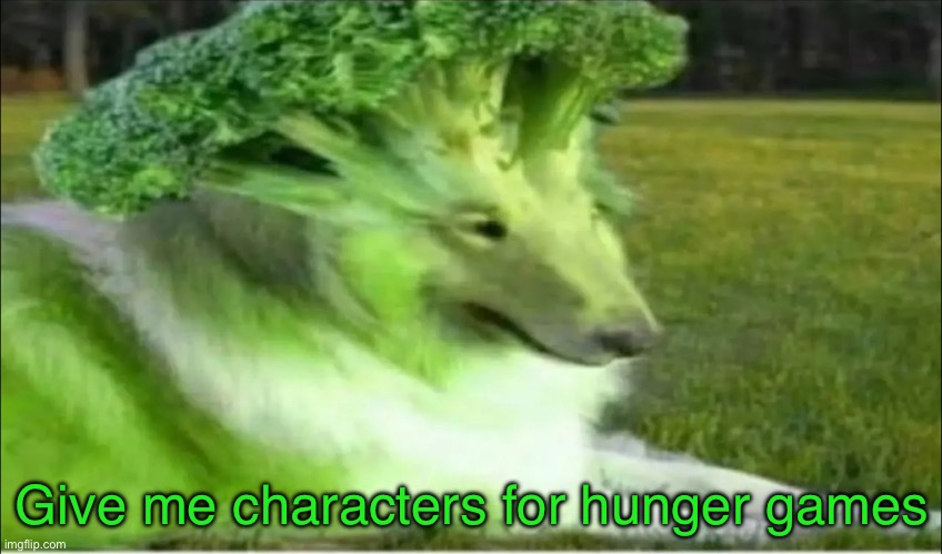 Broco dogo | Give me characters for hunger games | image tagged in broco dogo | made w/ Imgflip meme maker