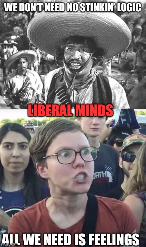 WE DON’T NEED NO STINKIN’ LOGIC ALL WE NEED IS FEELINGS LIBERAL MINDS | image tagged in we don't need no stinking,triggered feminist | made w/ Imgflip meme maker