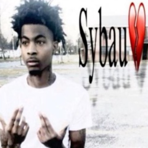 Sybau | image tagged in sybau | made w/ Imgflip meme maker