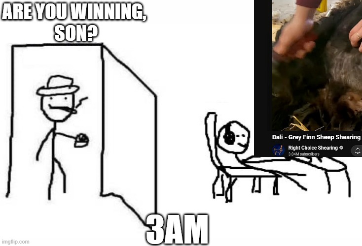 Watching sheep shearing at 3 AM | ARE YOU WINNING,
 SON? 3AM | image tagged in are you winning son blank template,shearing,sheep,youtube,oddly satisfying | made w/ Imgflip meme maker