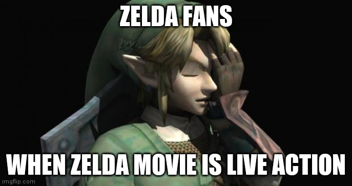 argggh | ZELDA FANS; WHEN ZELDA MOVIE IS LIVE ACTION | image tagged in link facepalm | made w/ Imgflip meme maker