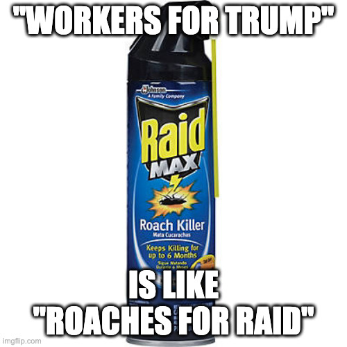 Workers for Trump is like Roaches for Raid | "WORKERS FOR TRUMP"; IS LIKE
"ROACHES FOR RAID" | image tagged in raid max roach killer,selling out to china | made w/ Imgflip meme maker