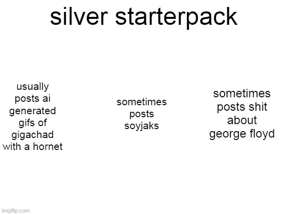 Blank White Template | silver starterpack; usually posts ai generated gifs of gigachad with a hornet; sometimes posts soyjaks; sometimes posts shit about george floyd | image tagged in blank white template | made w/ Imgflip meme maker