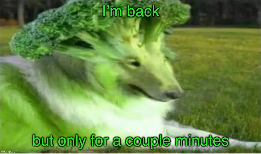 Or more… not sure | I’m back; but only for a couple miles | image tagged in broco dogo | made w/ Imgflip meme maker