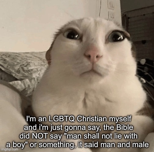 I am not trying to spread hate or push a political agenda, i'm just saying what's true | I'm an LGBTQ Christian myself and i'm just gonna say, the Bible did NOT say "man shall not lie with a boy" or something, it said man and male | image tagged in goober | made w/ Imgflip meme maker