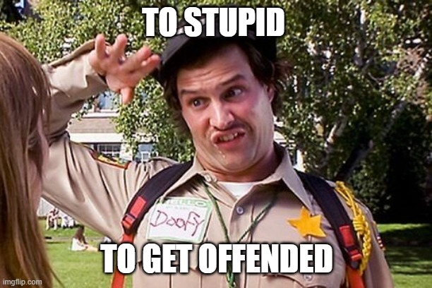 Special Officer Doofy | TO STUPID TO GET OFFENDED | image tagged in special officer doofy | made w/ Imgflip meme maker