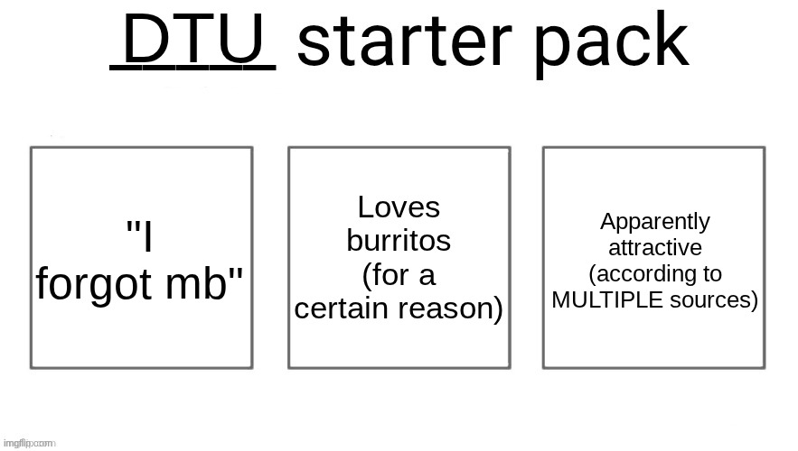 gm chat | DTU; "I forgot mb"; Loves burritos (for a certain reason); Apparently attractive (according to MULTIPLE sources) | image tagged in user starter pack | made w/ Imgflip meme maker