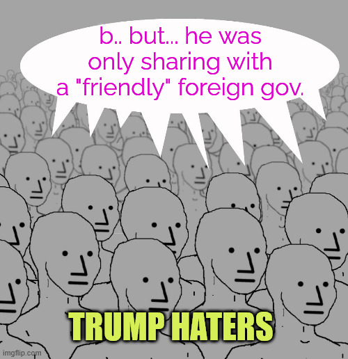 npc-crowd | b.. but... he was only sharing with a "friendly" foreign gov. TRUMP HATERS | image tagged in npc-crowd | made w/ Imgflip meme maker