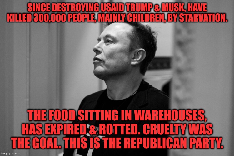 Their Legacy | SINCE DESTROYING USAID TRUMP & MUSK, HAVE KILLED 300,000 PEOPLE, MAINLY CHILDREN, BY STARVATION. THE FOOD SITTING IN WAREHOUSES, HAS EXPIRED & ROTTED. CRUELTY WAS THE GOAL. THIS IS THE REPUBLICAN PARTY. | image tagged in trump,musk,gop,maga,nazi,fascists | made w/ Imgflip meme maker