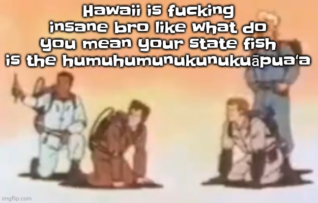 Wyoming population lore | Hawaii is fu‍cking insane bro like what do you mean your state fish is the humuhumunukunukuāpuaʻa | image tagged in wyoming population lore | made w/ Imgflip meme maker