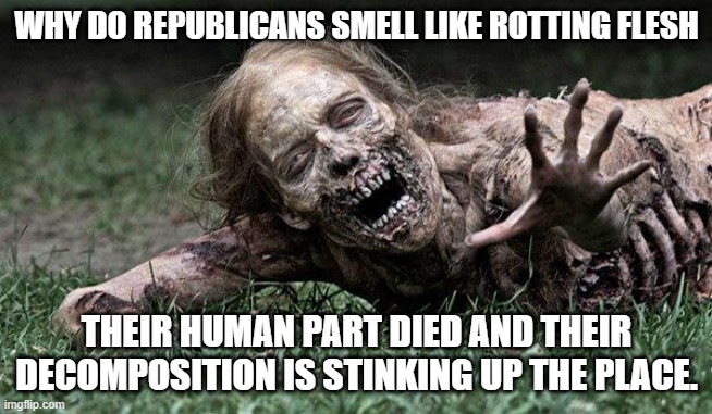 Dead republican things... Humanity died. | WHY DO REPUBLICANS SMELL LIKE ROTTING FLESH; THEIR HUMAN PART DIED AND THEIR DECOMPOSITION IS STINKING UP THE PLACE. | image tagged in walking dead zombie | made w/ Imgflip meme maker