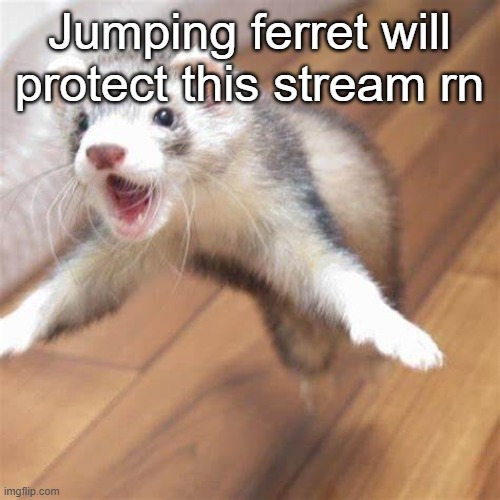 You know what's happening | Jumping ferret will protect this stream rn | image tagged in jumping ferret | made w/ Imgflip meme maker