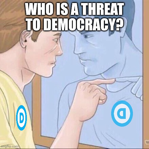 Pointing mirror guy | WHO IS A THREAT TO DEMOCRACY? | image tagged in pointing mirror guy | made w/ Imgflip meme maker