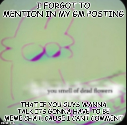 sorry if it caused any inconvineince, but my account isn't verified and I have tried | I FORGOT TO MENTION IN MY GM POSTING; THAT IF YOU GUYS WANNA TALK ITS GONNA HAVE TO BE MEME CHAT, CAUSE I CANT COMMENT | image tagged in alt ig | made w/ Imgflip meme maker