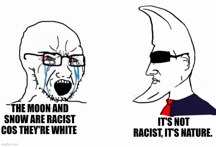 M00N_MAN.exe | IT'S NOT RACIST, IT'S NATURE. THE MOON AND SNOW ARE RACIST COS THEY'RE WHITE | image tagged in m00n_man exe | made w/ Imgflip meme maker