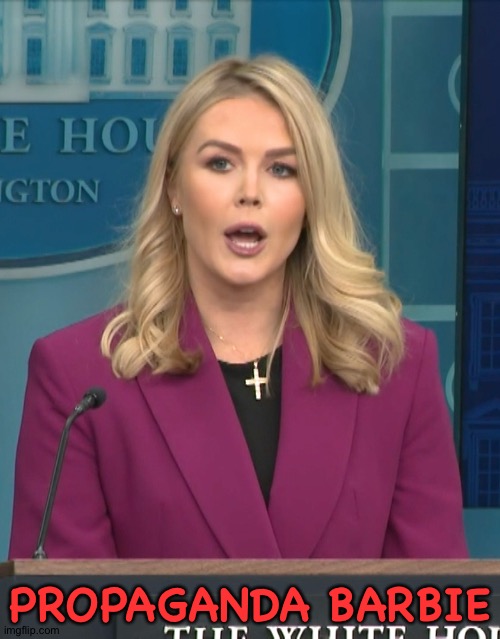 Karoline Leavitt January 2025  first press briefing | PROPAGANDA BARBIE | image tagged in karoline leavitt january 2025 first press briefing | made w/ Imgflip meme maker