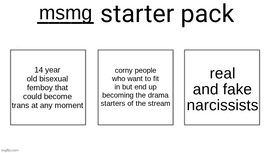User starter pack | msmg; 14 year old bisexual femboy that could become trans at any moment; corny people who want to fit in but end up becoming the drama starters of the stream; real and fake narcissists | image tagged in user starter pack | made w/ Imgflip meme maker