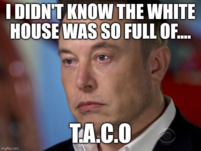Taco maga | I DIDN'T KNOW THE WHITE HOUSE WAS SO FULL OF.... T.A.C.O | image tagged in elon musk,donald trump,trump,maga,nevertrump,trump sucks | made w/ Imgflip meme maker