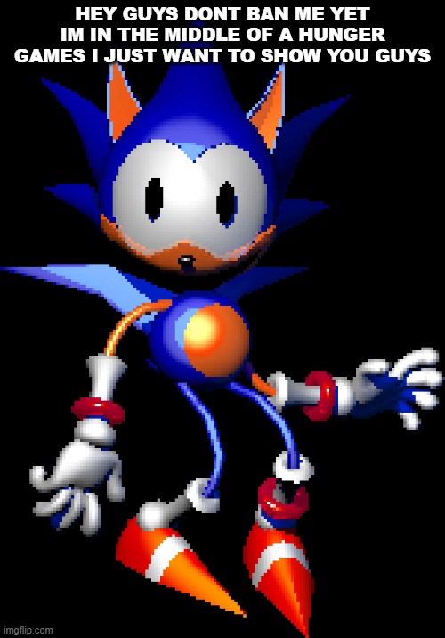 Rewrite Sonic | HEY GUYS DONT BAN ME YET IM IN THE MIDDLE OF A HUNGER GAMES I JUST WANT TO SHOW YOU GUYS | image tagged in rewrite sonic | made w/ Imgflip meme maker