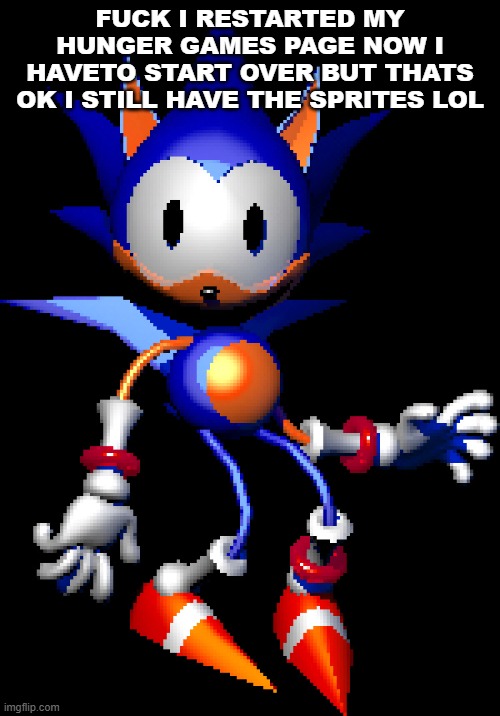Rewrite Sonic | FUCK I RESTARTED MY HUNGER GAMES PAGE NOW I HAVETO START OVER BUT THATS OK I STILL HAVE THE SPRITES LOL | image tagged in rewrite sonic | made w/ Imgflip meme maker