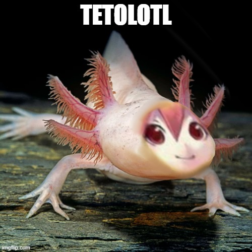 Tetolotl | TETOLOTL | image tagged in vocaloid,teto,kasane teto,hatsune miku | made w/ Imgflip meme maker