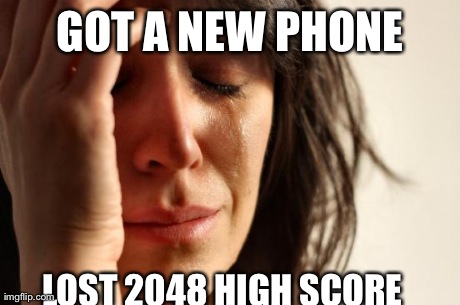 First World Problems | GOT A NEW PHONE LOST 2048 HIGH SCORE | image tagged in memes,first world problems,AdviceAnimals | made w/ Imgflip meme maker