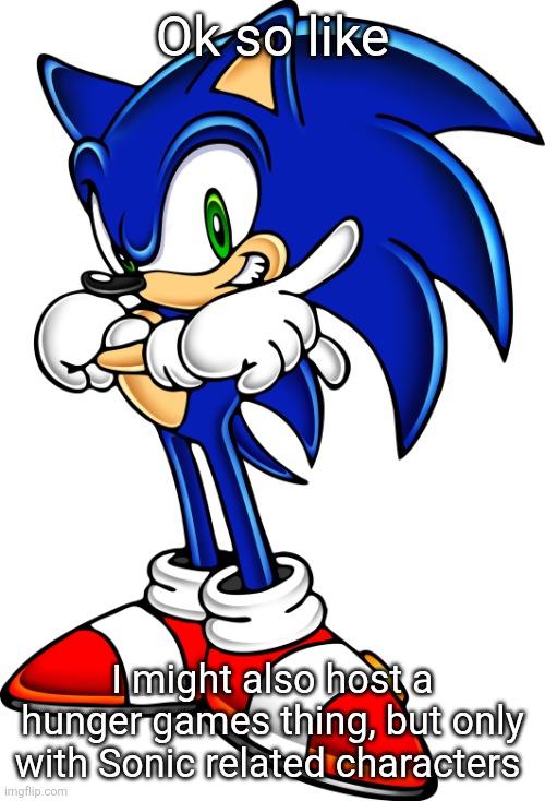 Don't gotta be a canon character, it can be exe, an oc, or meme (like huehuehue) | Ok so like; I might also host a hunger games thing, but only with Sonic related characters | image tagged in sonic the hedgehog sonic adventure 1 | made w/ Imgflip meme maker