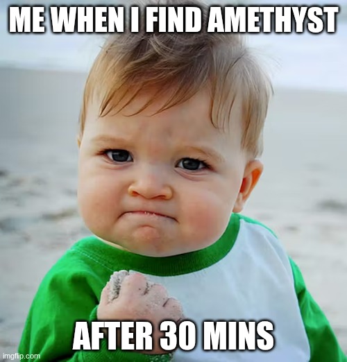 Amethyst meme | ME WHEN I FIND AMETHYST; AFTER 30 MINS | image tagged in memes | made w/ Imgflip meme maker