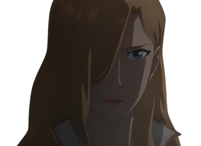 erza scarlett Blank Meme Template