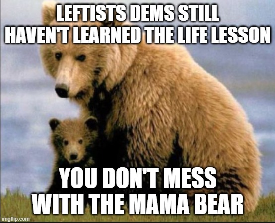 mama bear heart | LEFTISTS DEMS STILL HAVEN'T LEARNED THE LIFE LESSON YOU DON'T MESS WITH THE MAMA BEAR | image tagged in mama bear heart | made w/ Imgflip meme maker