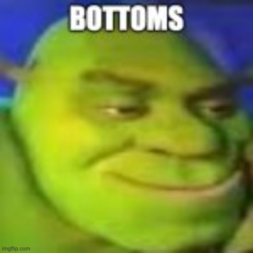 shrek shitpost | image tagged in shrek shitpost | made w/ Imgflip meme maker
