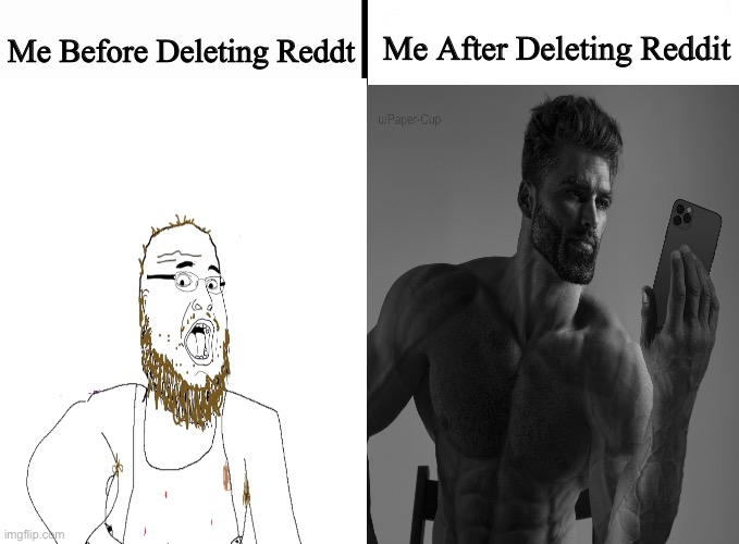 Average Fan VS Nerd Average Fan | Me After Deleting Reddit; Me Before Deleting Reddt | image tagged in average fan vs nerd average fan,memes,reddit,funny,gigachad,shitpost | made w/ Imgflip meme maker