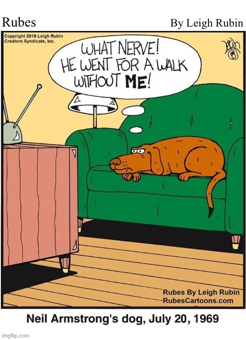 By Leigh Rubin; Rubes | image tagged in comics,rubes,neil armstrong,dog,walk | made w/ Imgflip meme maker